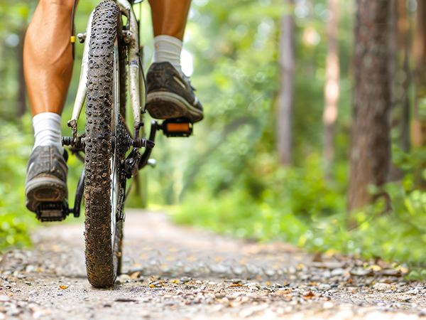 Imagebild Fahrradfahren